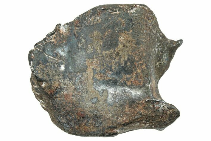 Gebel Kamil Iron Meteorite (g) - Egypt #263409